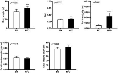 Maternal High-Fat Diet Exposure During Gestation and Lactation Affects Intestinal Development in Suckling Rats